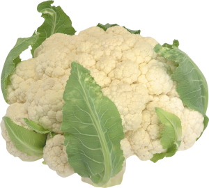 cauliflower PNG image-8789